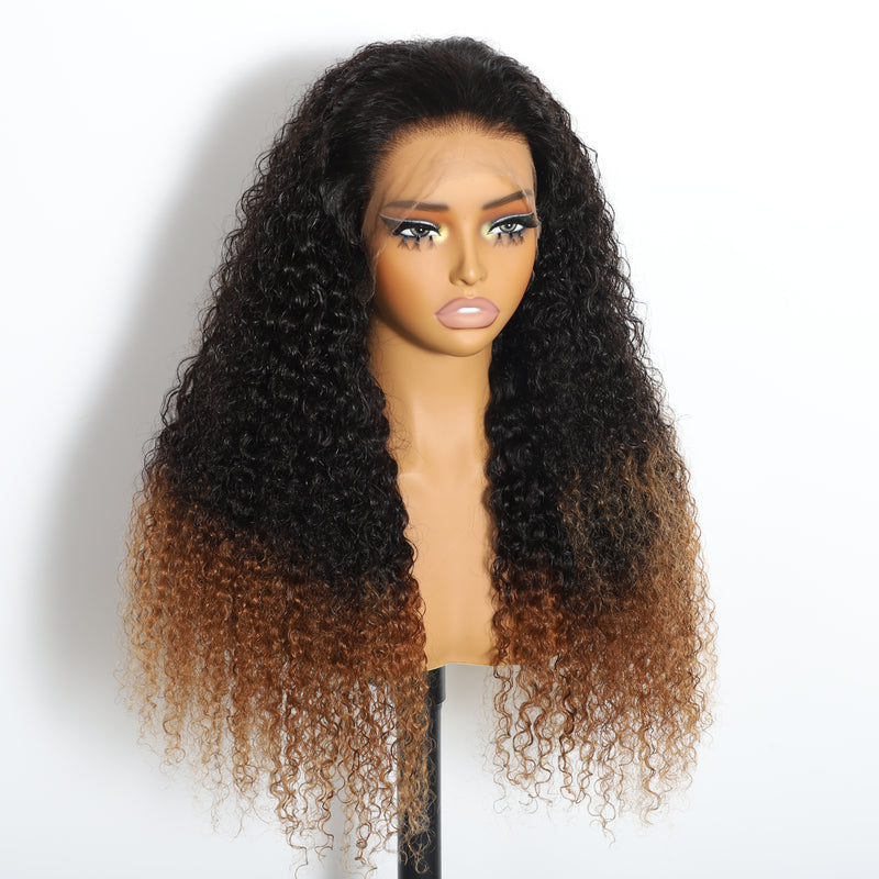 ZSF Hair Ombre T1b/30