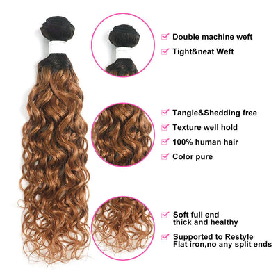 ZSF Ombre T4/30 Water Wave Virgin Hair 3Bundles With Lace Frontal 100% Human Hair