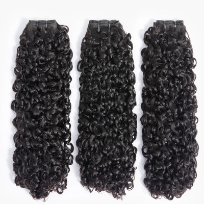 ZSF Pixie Curly Virgin Hair 3Bundles With Lace Closure Natural Black 8A Grade