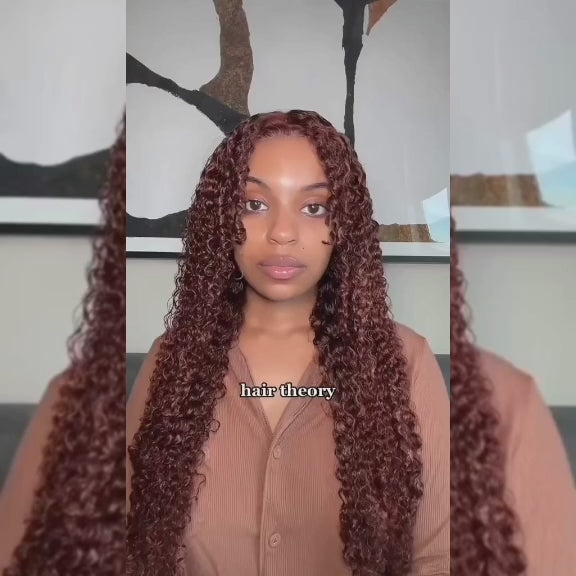 (BUY 1 GET 1 Free) ZSF Jerry Curly Reddish Brown Human Hair Wig HD Lace Wig Pre-Plucked Free Part